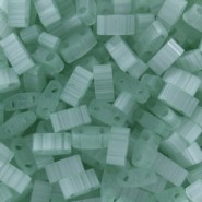 Miyuki half tila 5x2.4mm beads - Silk pale light green HTL-2560